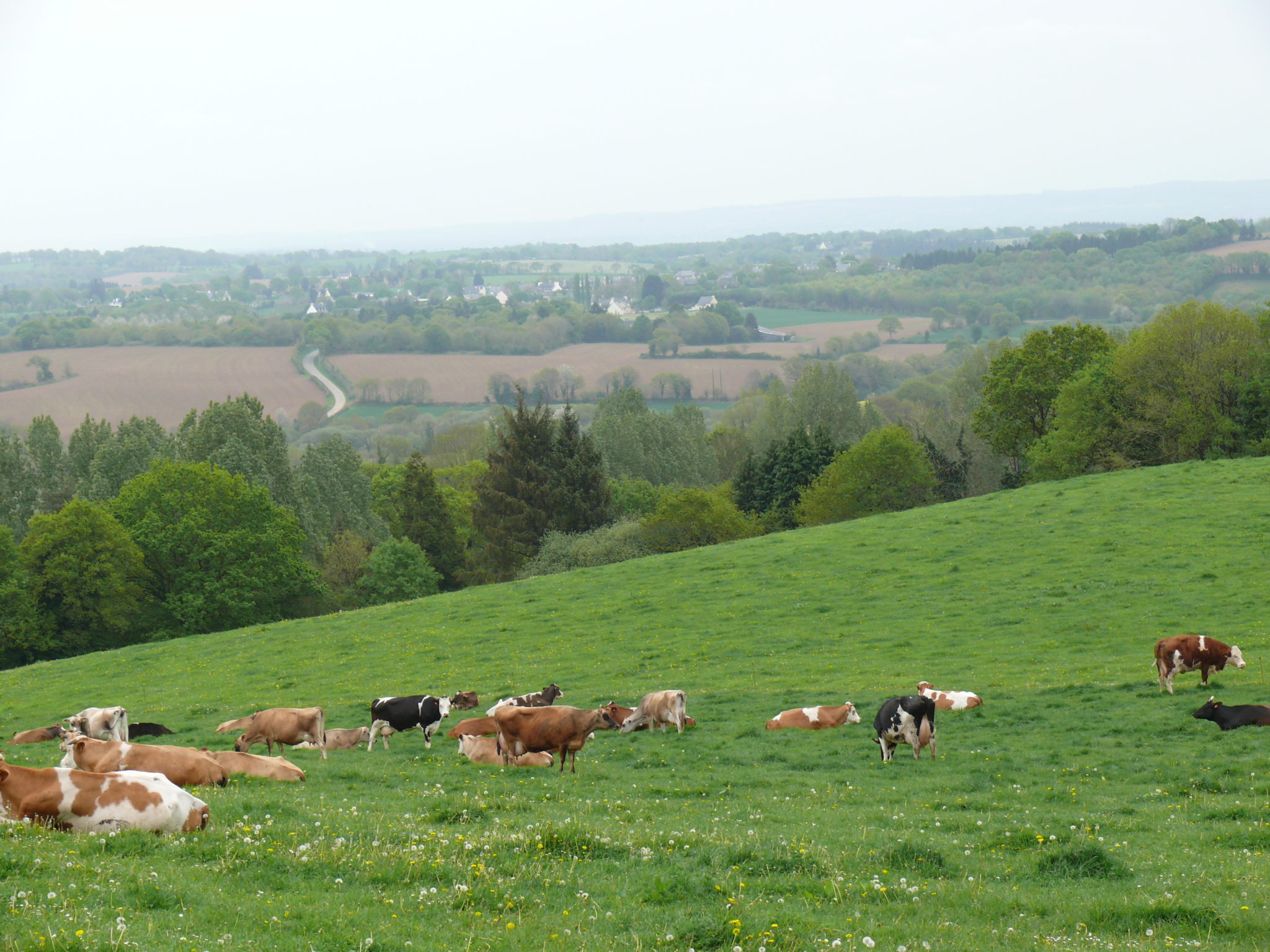 MAEC 2023 Y Voir Clair Dans Les Territoires Bient t AgriEco MAEC 2023 Y Voir Clair Dans Les Territoires Bient t AgriEco