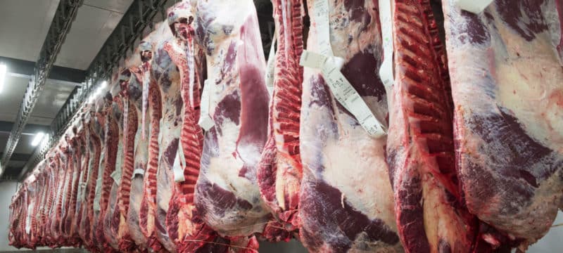 Morceaux de viande dans un abattoir
