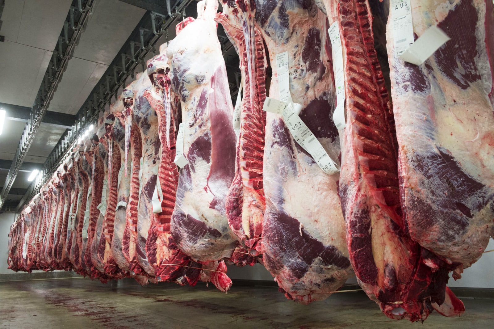 Morceaux de viande dans un abattoir