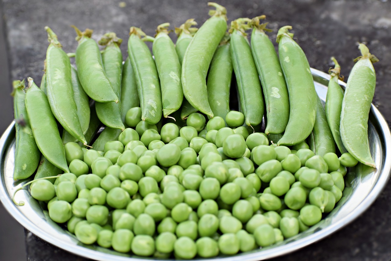 Plat de haricots