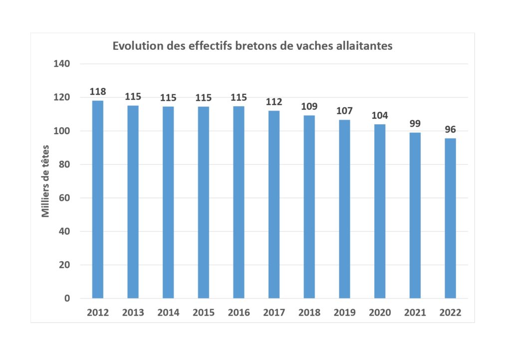 Evolution des effectifs bretons de vaches allaitantes