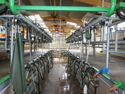 Une hausse des investissements chez les exploitations laitières bretonnes