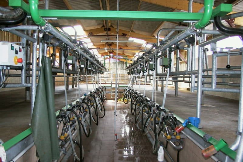 Une hausse des investissements chez les exploitations laitières bretonnes