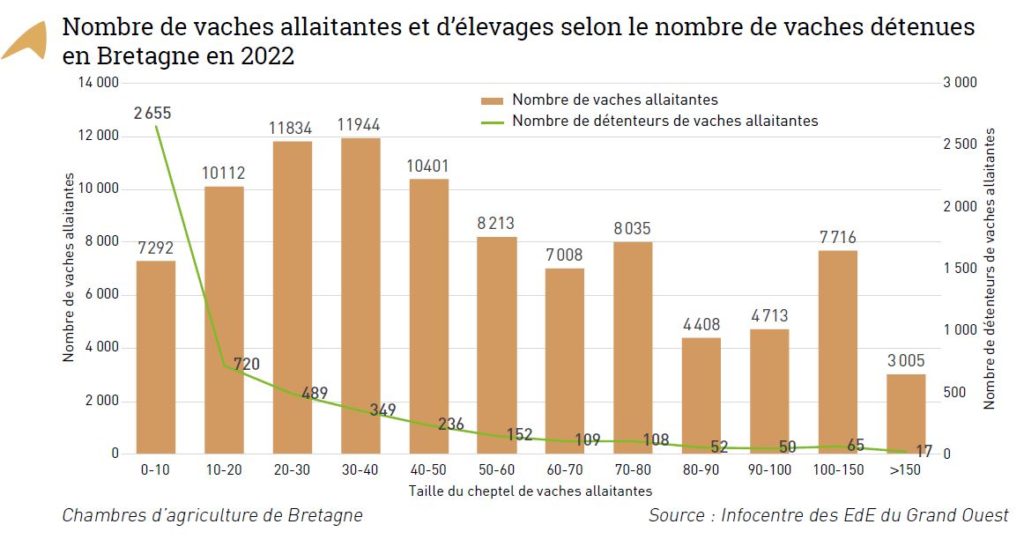 Evolution du nombre de vaches allaitantes et d'élevages en Bretagne