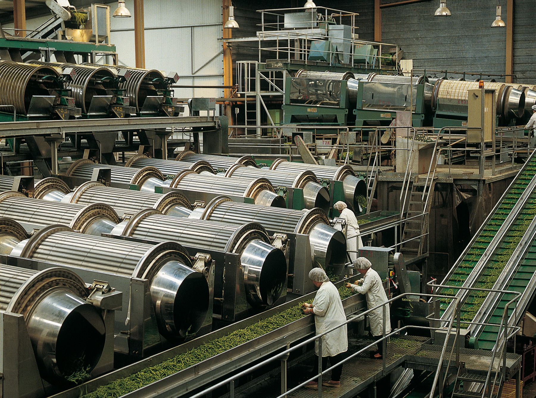 Usine de légumes industrie