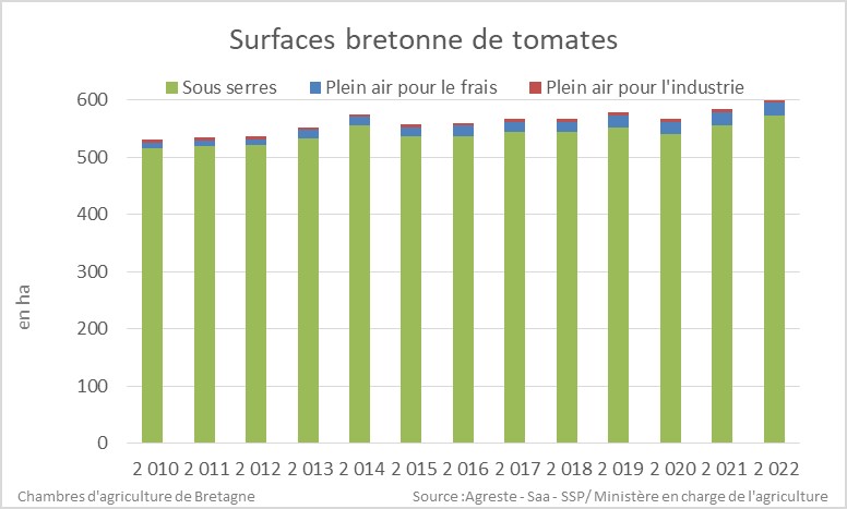 Evolution des surfaces bretonnes de tomates