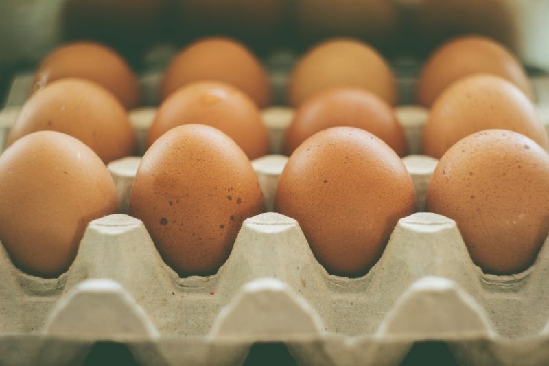 Croissance de la consommation d’œufs malgré la hausse des prix