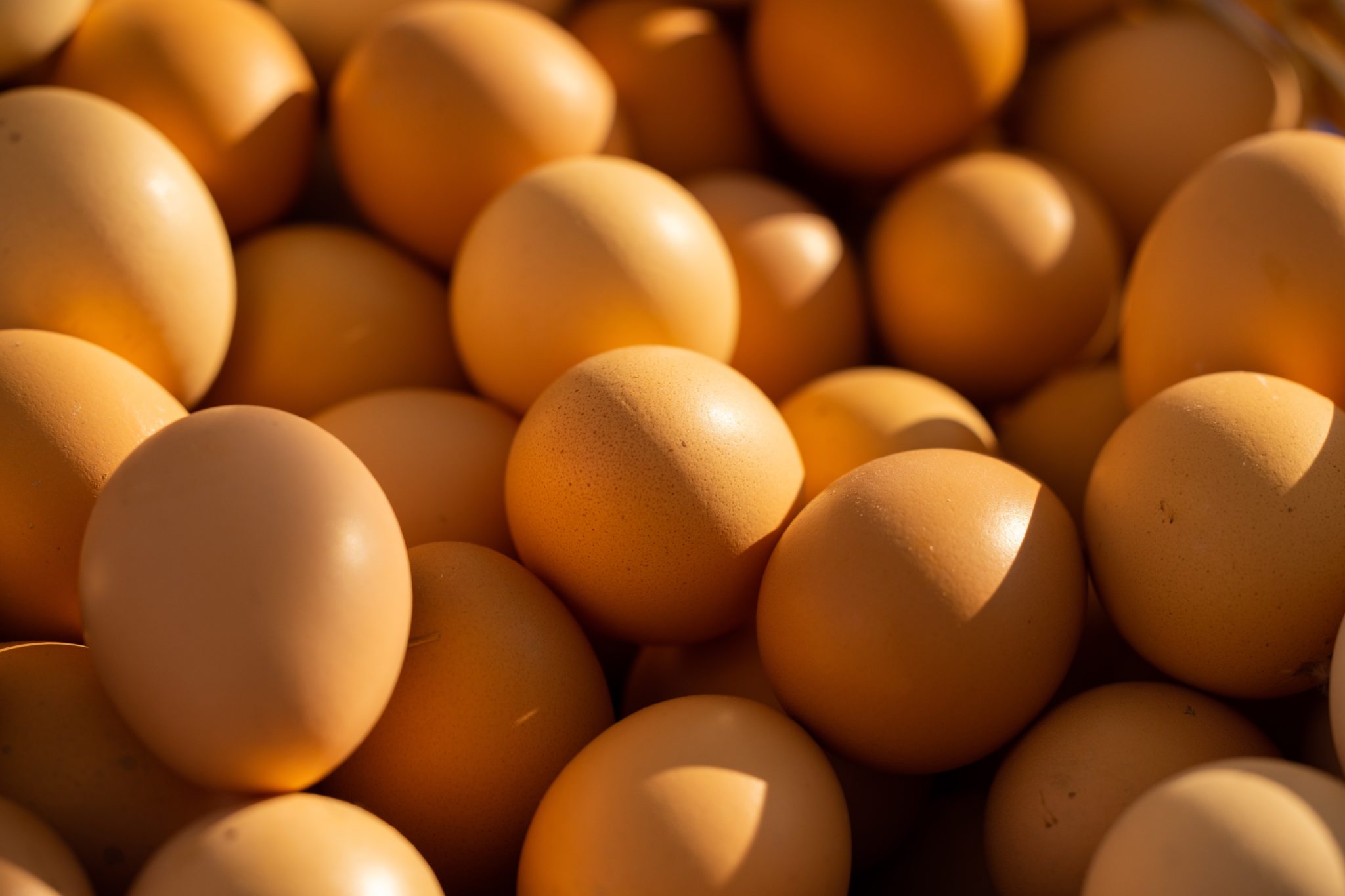 Oeufs
