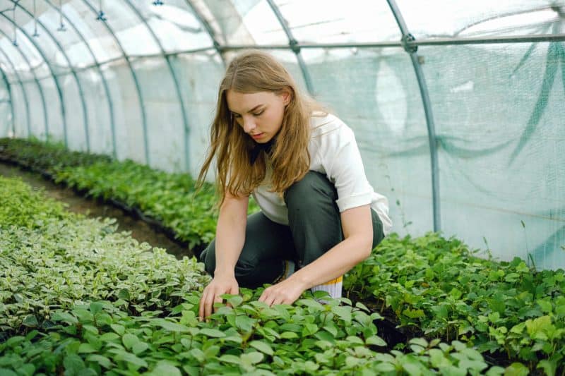 Une meilleure reconnaissance des femmes en agriculture