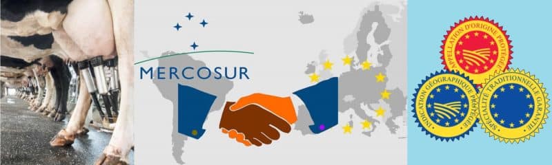 [3/3] Accord UE-Mercosur : produits laitiers et indications géographiques, l’Europe à l’offensive ?