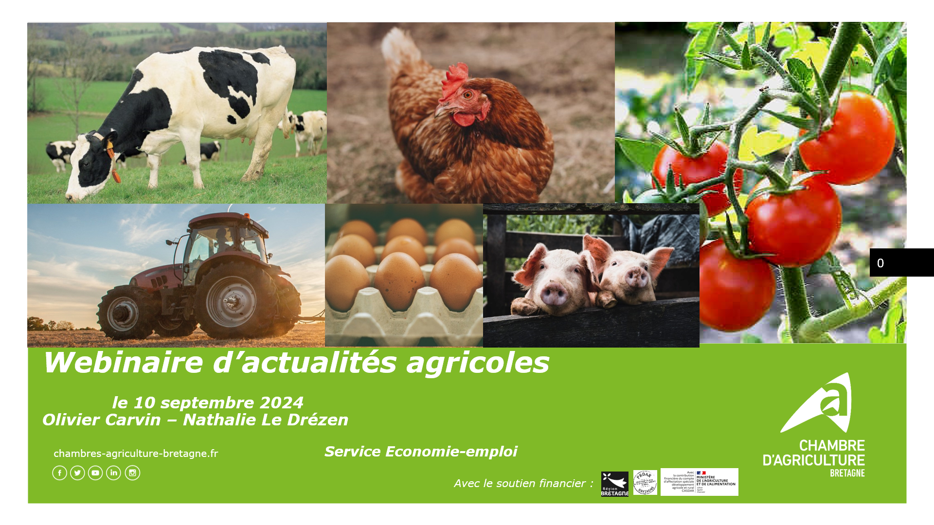 Vignette webinaire note de rentrée