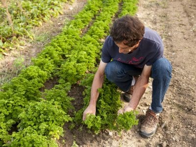 Les porteurs de projet en agriculture : une diversité de profils