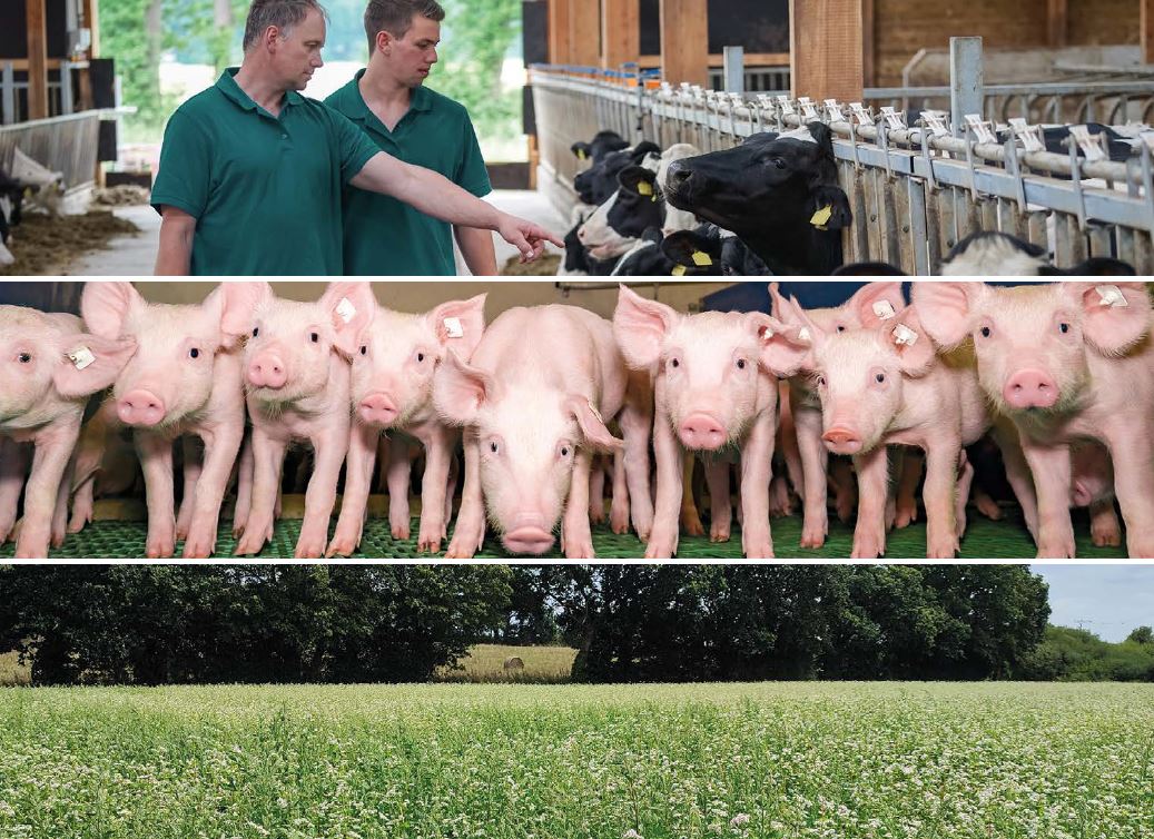 Couverture A&P 2025