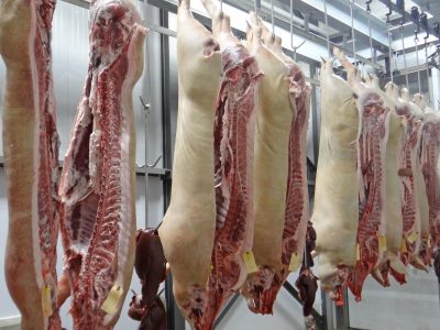 26,8 M€ d’aides pour les abattoirs bretons
