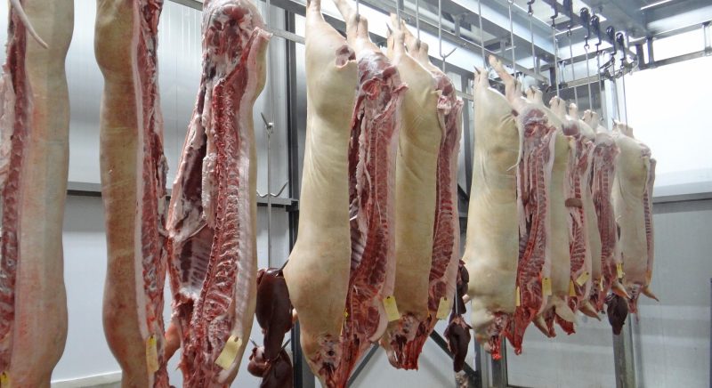 26,8 M€ d’aides pour les abattoirs bretons
