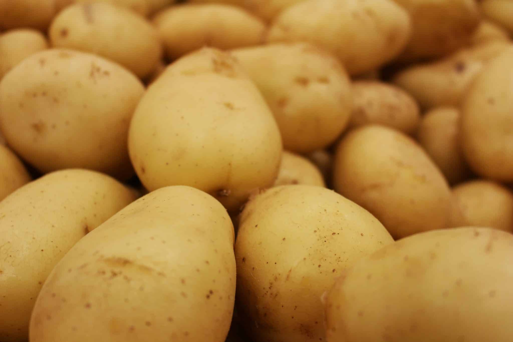 Pommes de terre