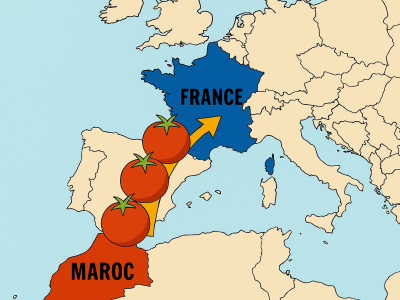 Toujours plus de tomates marocaines en France