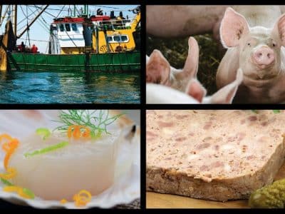 Pérennité des ODG (1/3) – Assurer une bonne gestion économique