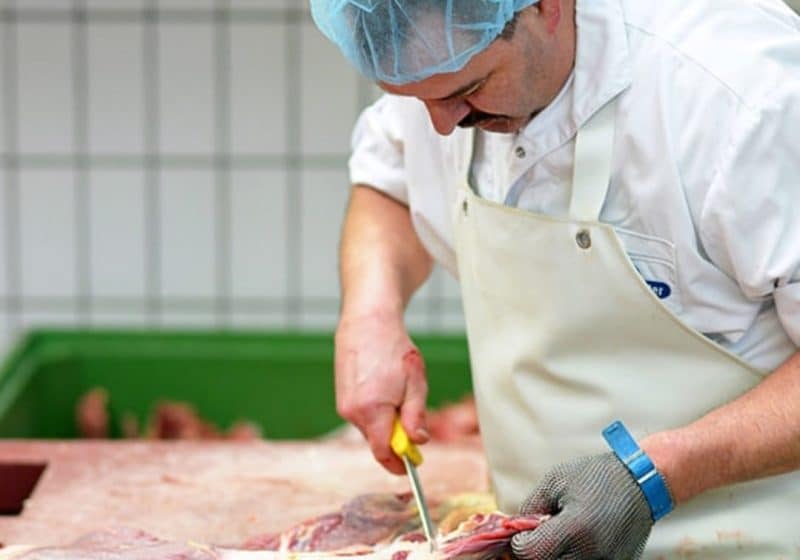 Les abattoirs de proximité bretons très sollicités