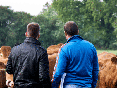 L’emploi agricole breton en 2035