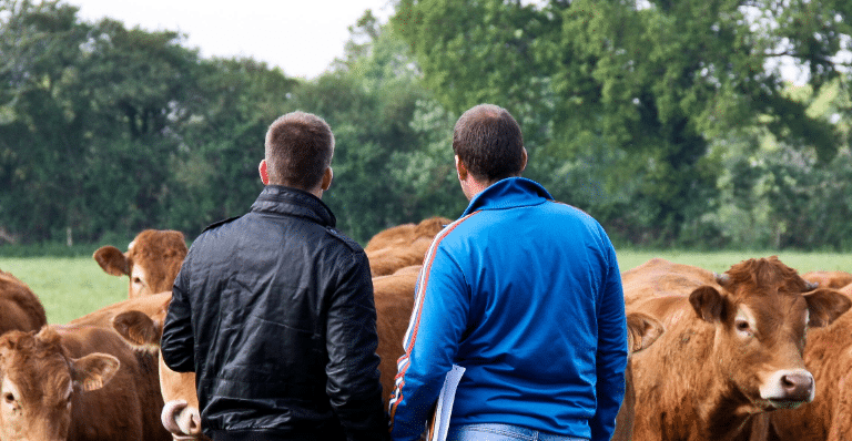 L’emploi agricole breton en 2035