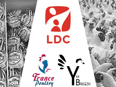 LDC rachète France Poultry : vers la fin du poulet grand export
