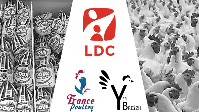 LDC rachète France Poultry : vers la fin du poulet grand export
