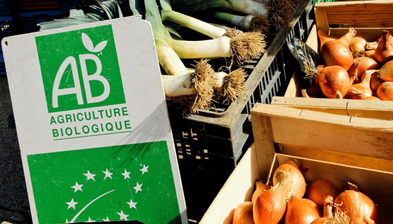 Bio : la production peut-elle répondre à la reprise de la consommation ?