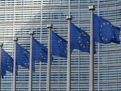 Crise laitière en Europe : faut-il intervenir ?