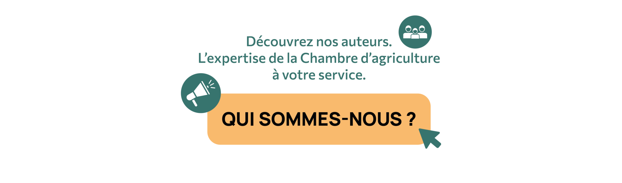 voir l'équipe