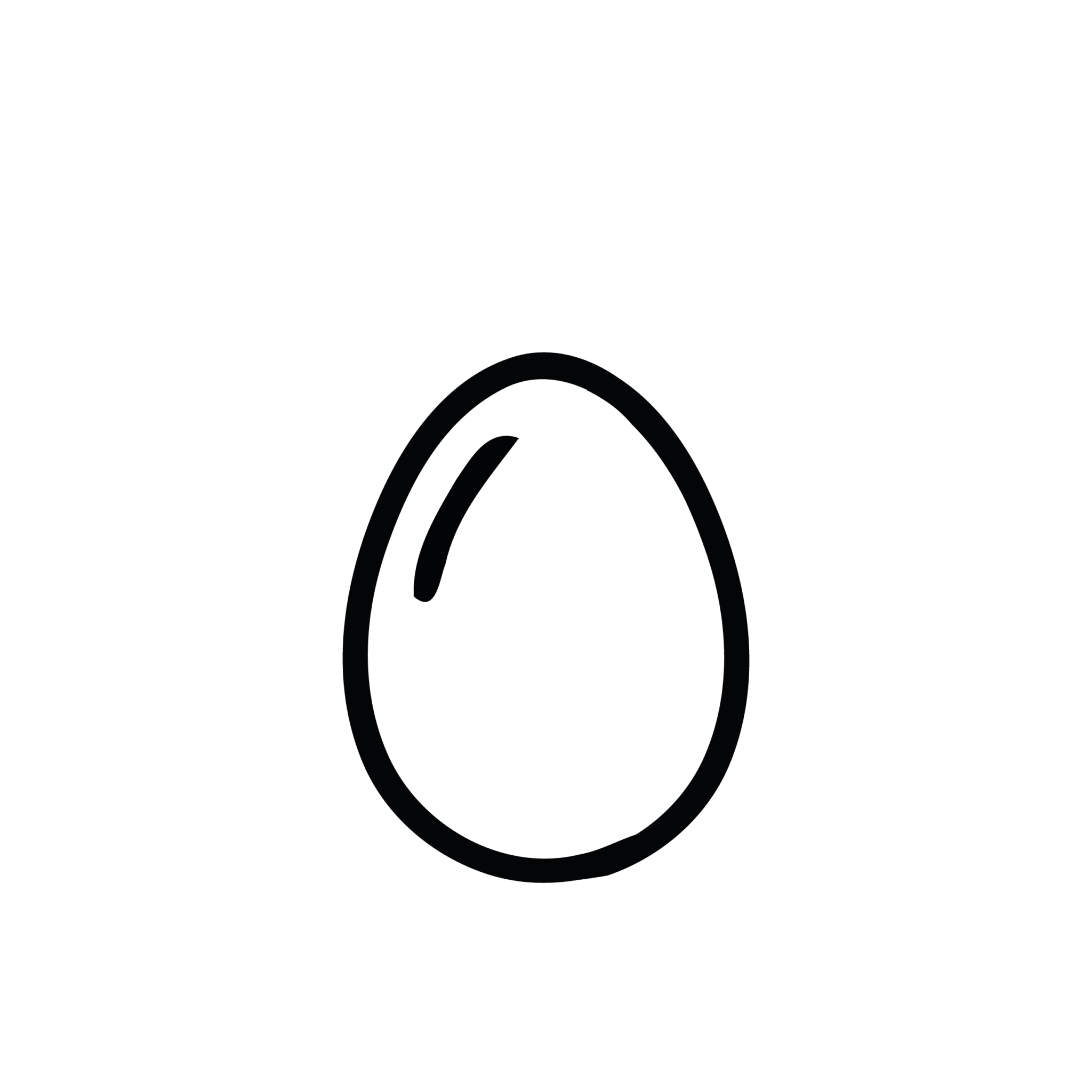 Oeufs de consommation