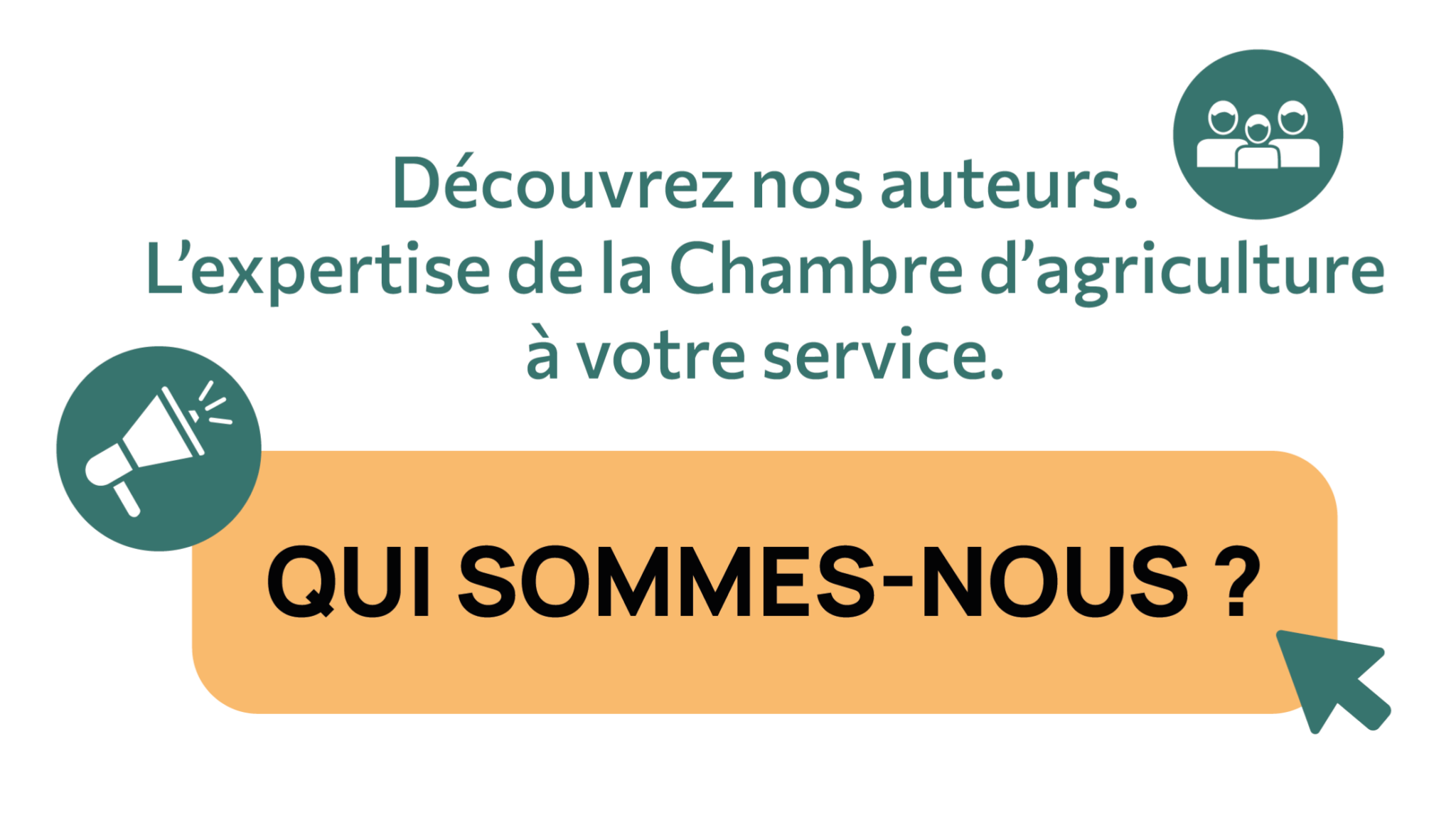 voir l'équipe