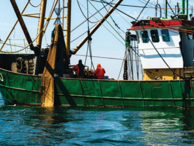 [SIQO en Bretagne 2026] Les filières des produits de la mer