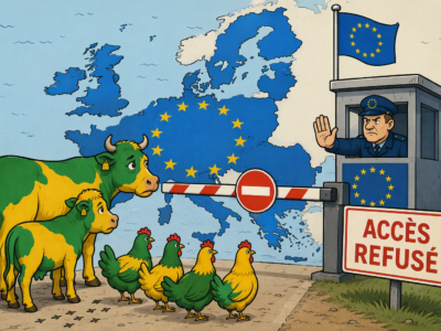 Effet bœuf sur les exportations brésiliennes